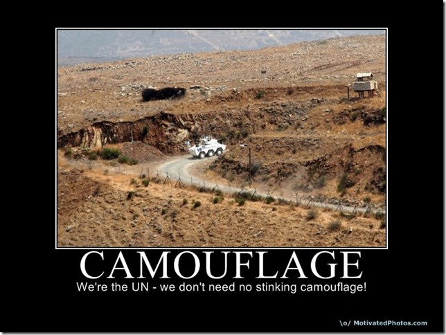 camouflage3