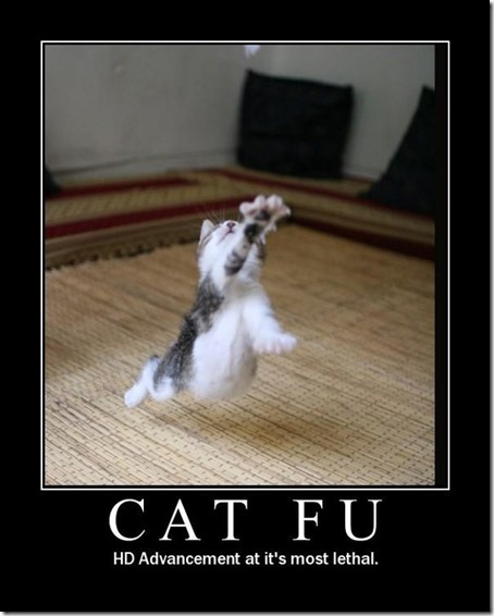 Cat Fu