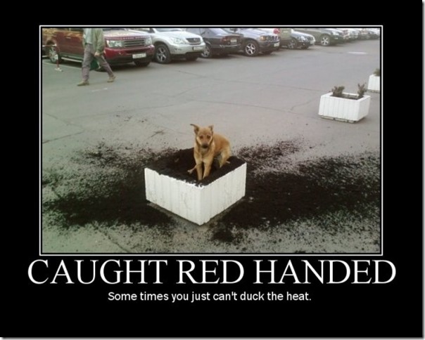 Caught Redhanded