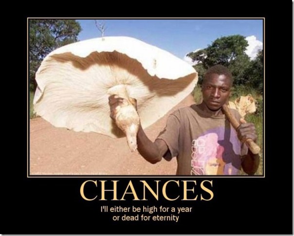 chances2