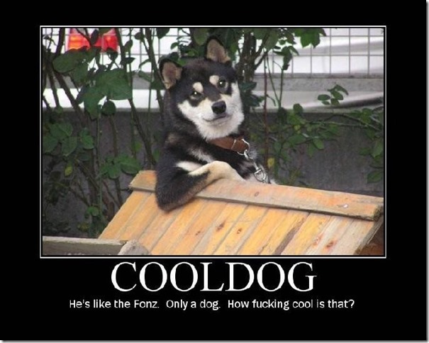 Cool Dog