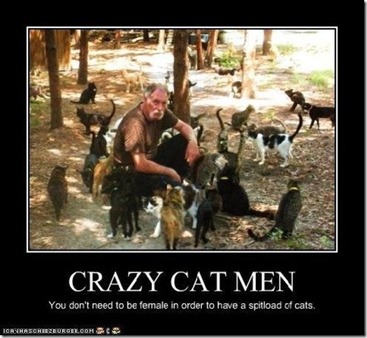 crazy cat men