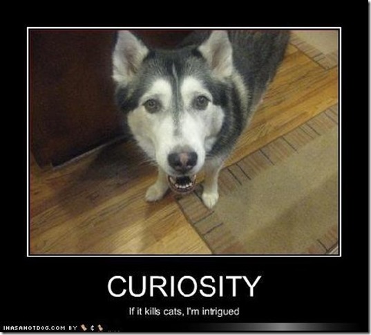 curiosity3