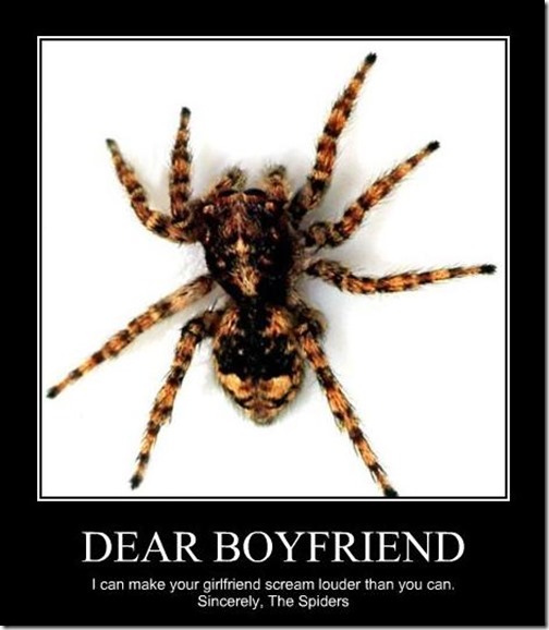 Dear Boyfriend
