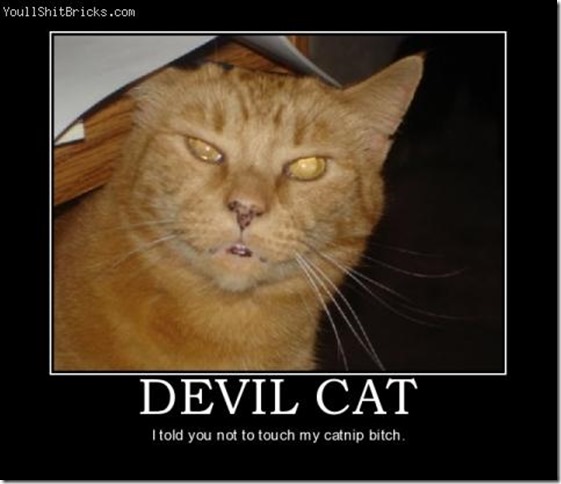 Devil Cat