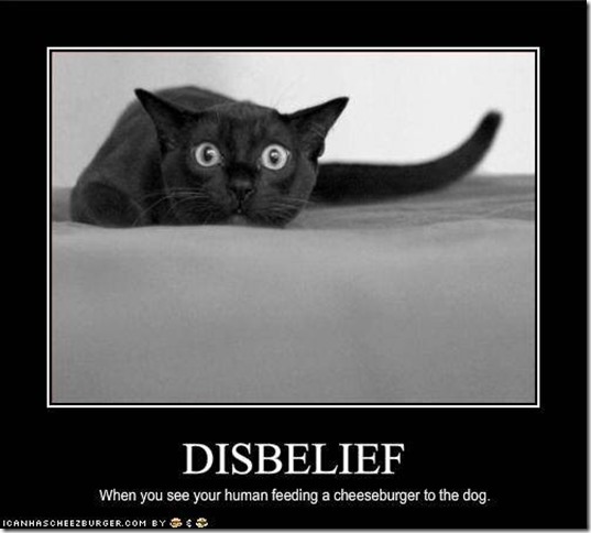 Disbelief