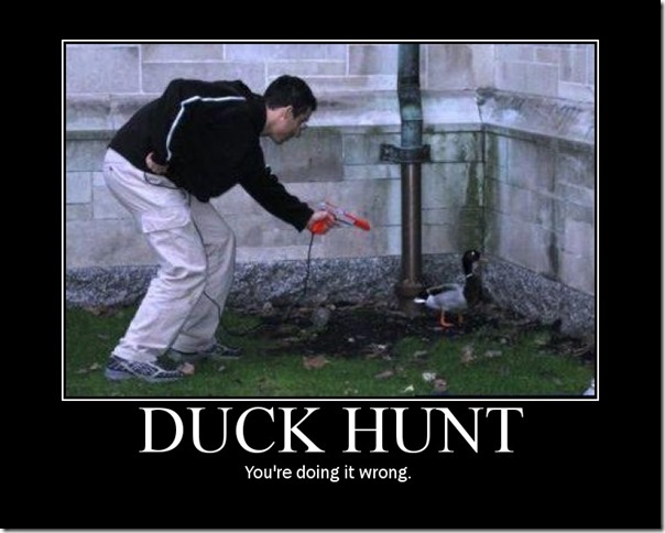 Duck Hunt