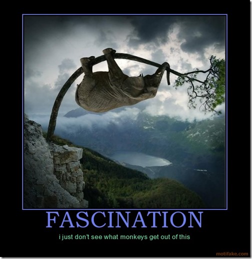 Fascination