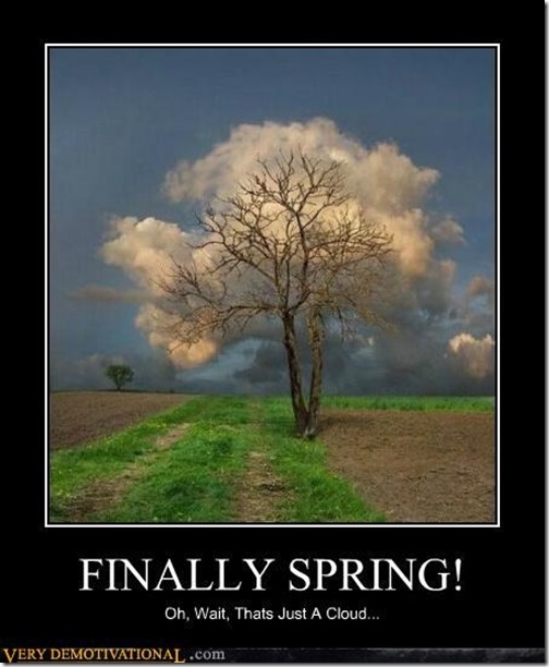 finally spring