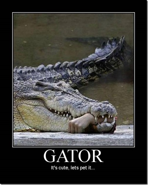 Gator