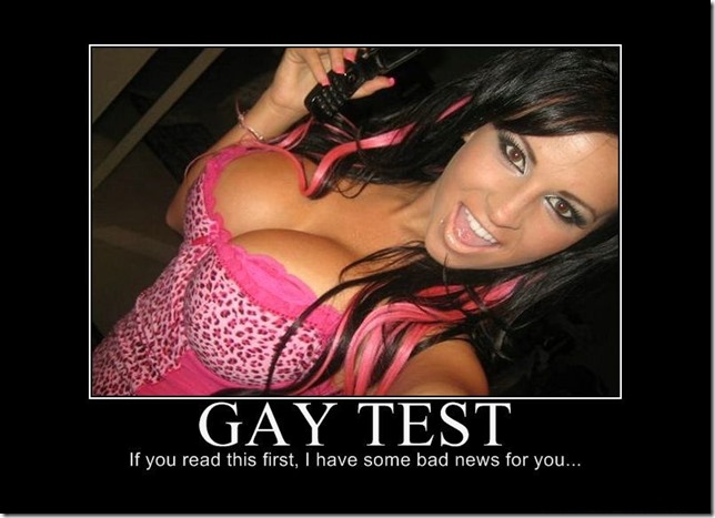 Gay Test 2