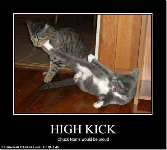 High Kick