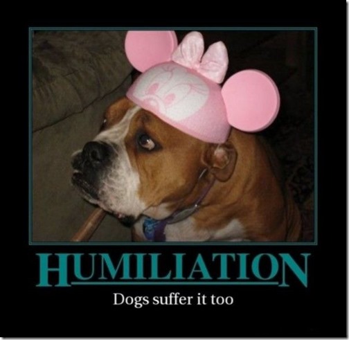 Humiliation1