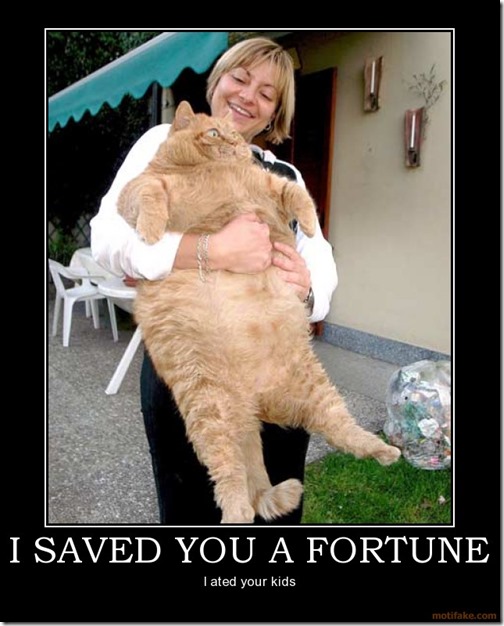 I saved you a fortune