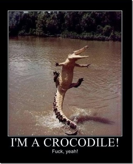 I'm a croc