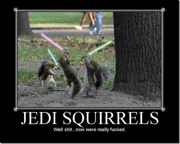 Jedi Squirrels