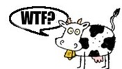 WTF Cow