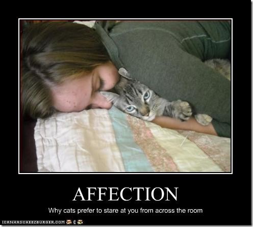 Affection