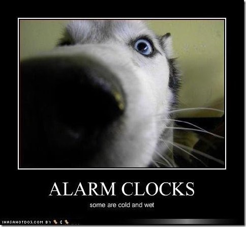 alarm clocks
