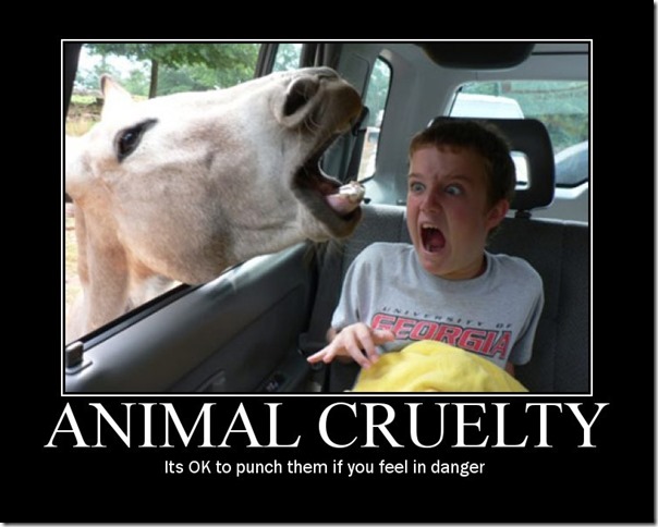 Animal Cruelty