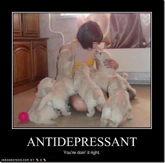 Antidepressant