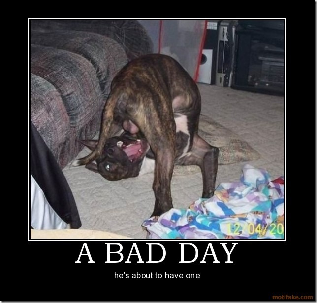 Bad Day