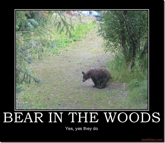 Bear in the woods