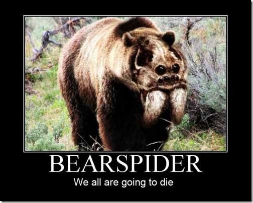 bearspider