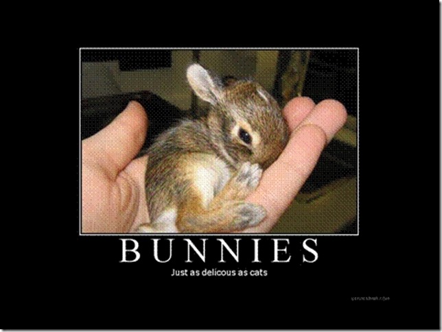 Bunnies2