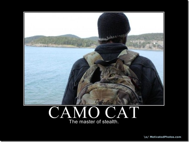Camo Cat