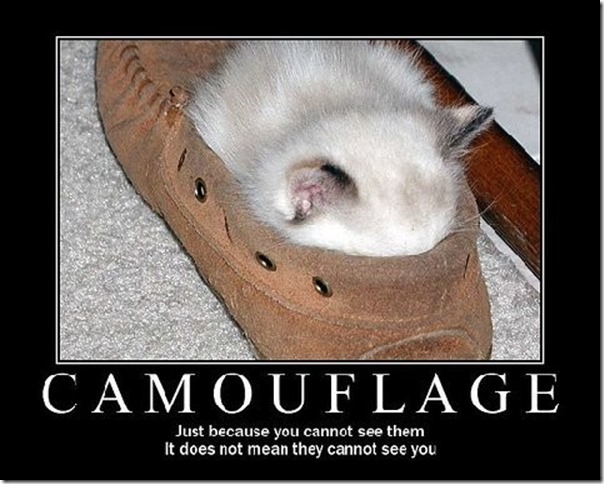 Camouflage