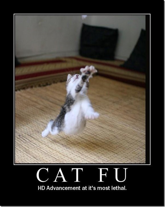Cat Fu