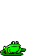 frog standing