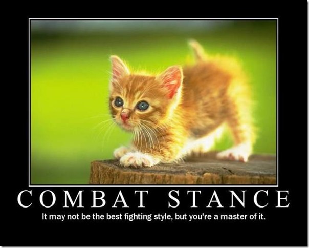 Combat Stance