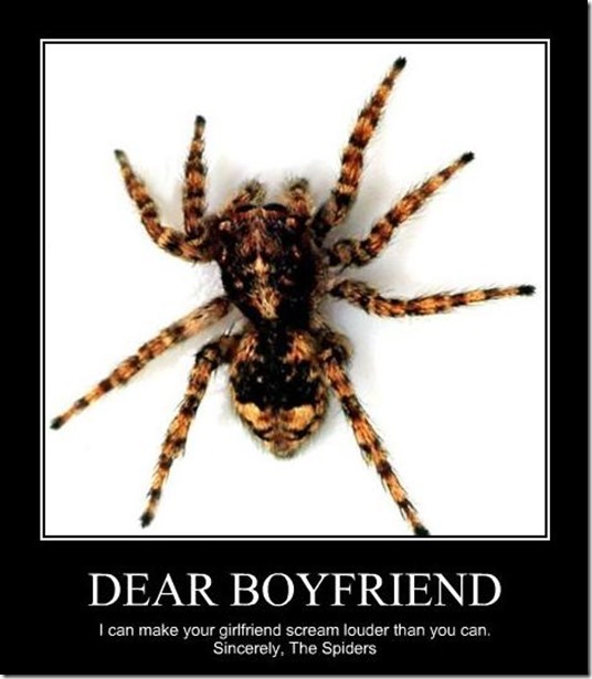 Dear Boyfriend