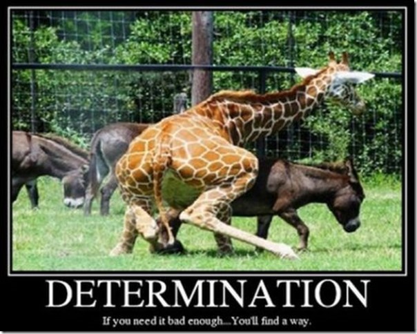 Determination