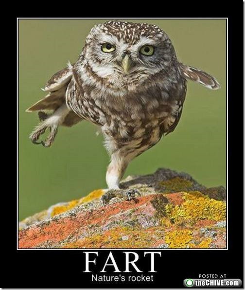 fart