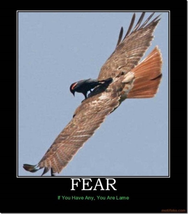 Fear (2)