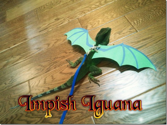 Impish Iguana