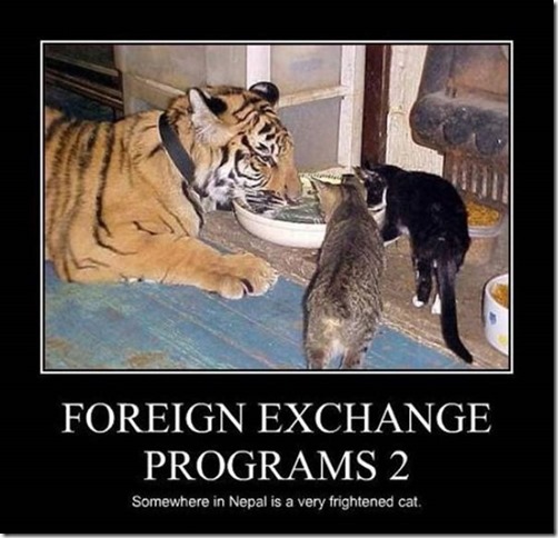 Foreign Exchange Programs 2 15