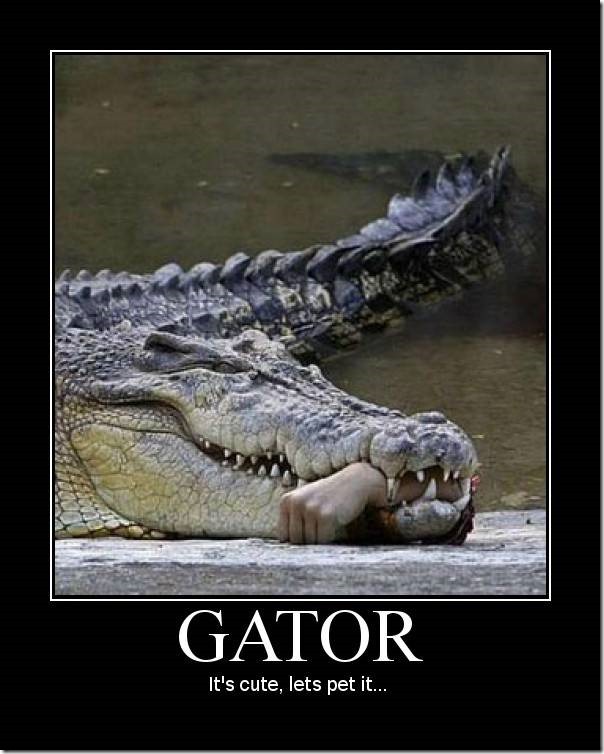 Gator
