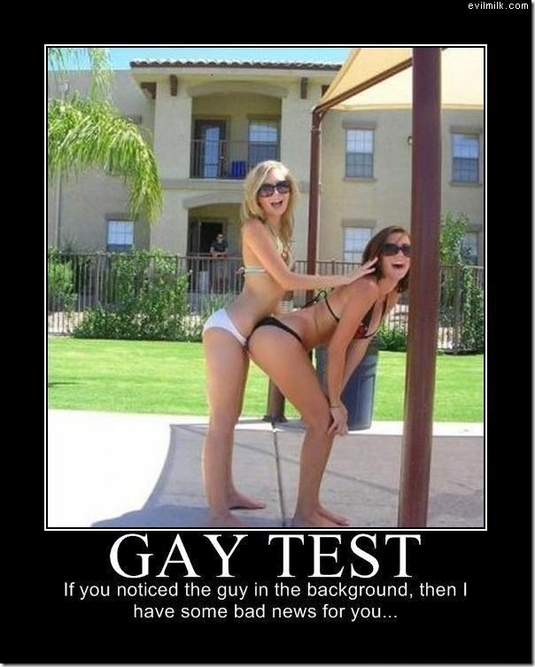 Gay Test 3