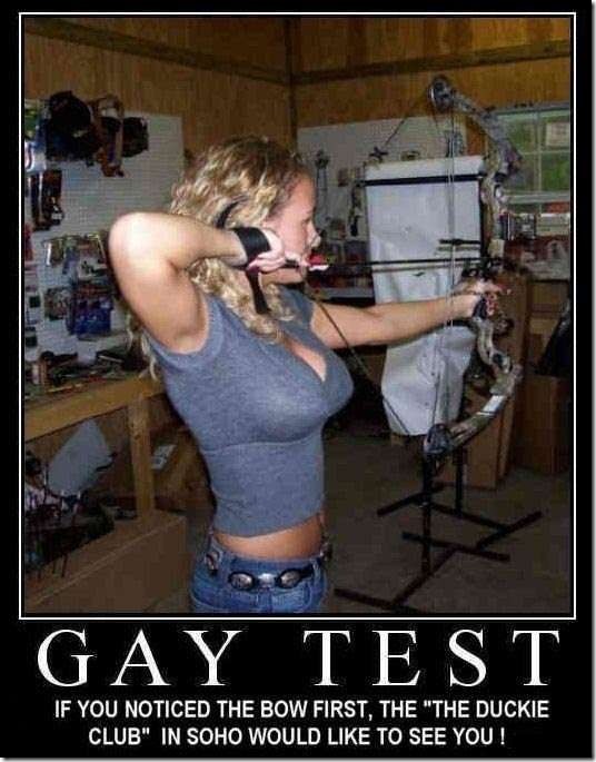 Gay Test