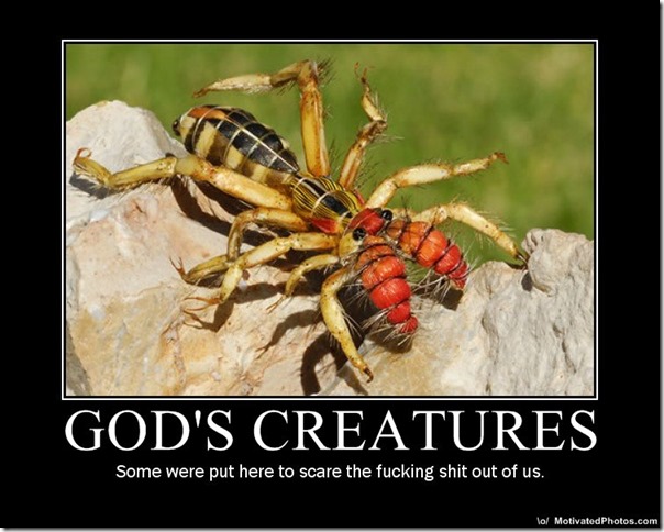 God's Creatures