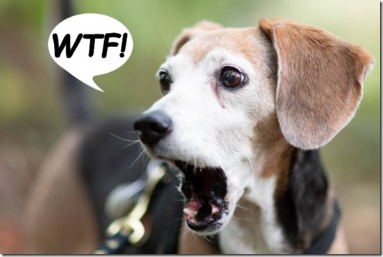 Beagle is shocked and appalled