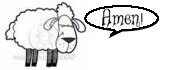 Amen Sheep