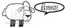 Amen Sheep