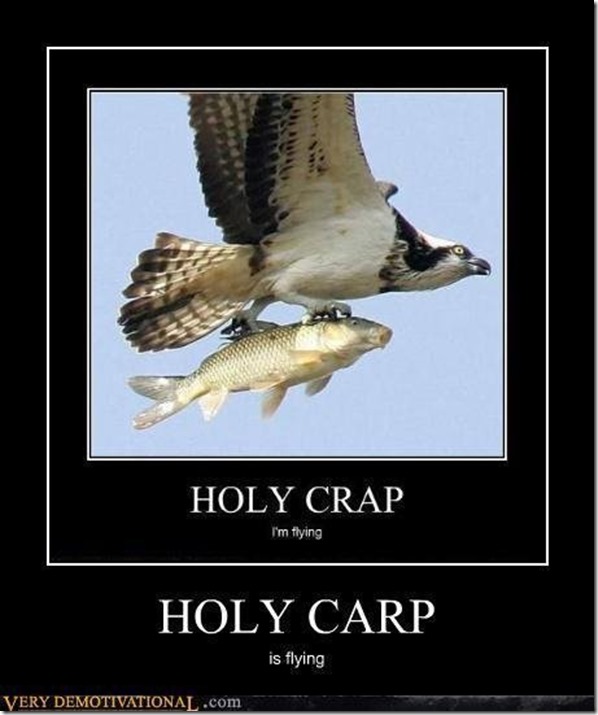 holy carp